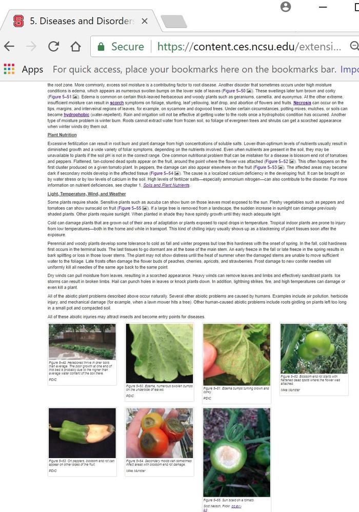 image showing content in open access format