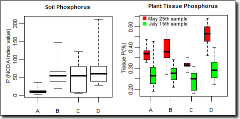 Phosphorus graph