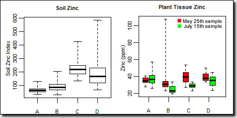 Zinc graph