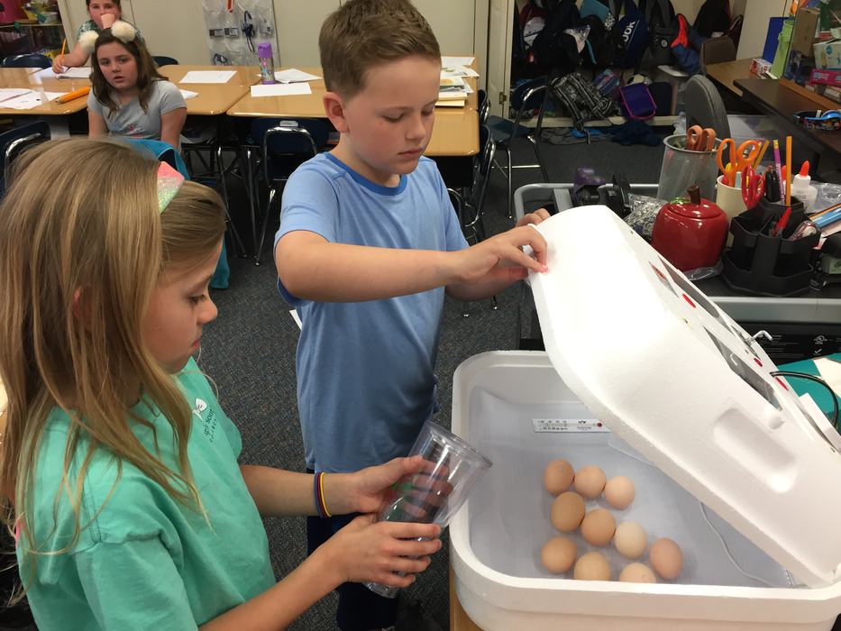 adding water to incubator