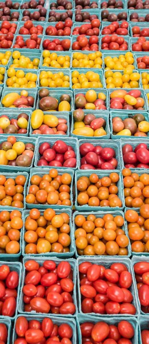 Rows of blue cartons filled with assorted cherry and grape tomatoes