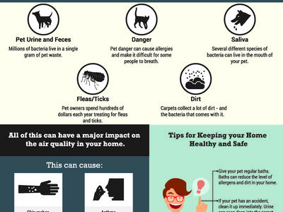 Infographic: Keeping your Pet-Friendly Home Healthy — pet hazards, health effects, and cleaning tips
