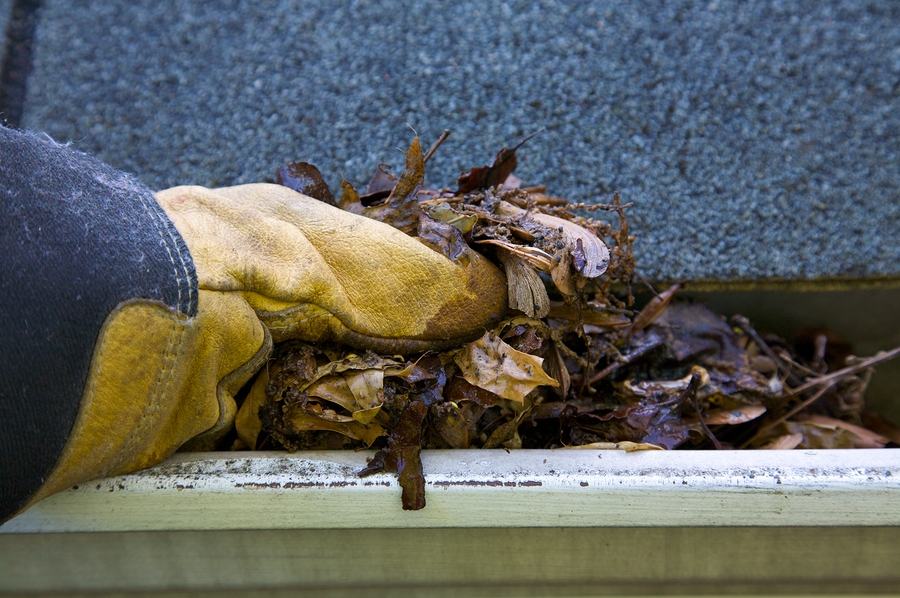 cleaning gutters of debris
