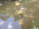 impounded water near parking lot