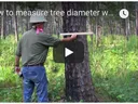 Forestry video