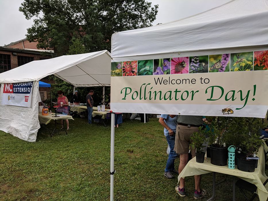 We had several tents for various activities. 