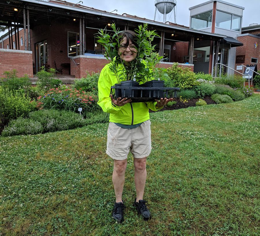 This lucky visitor won six pollinator plants donated by Niche Gardens! 