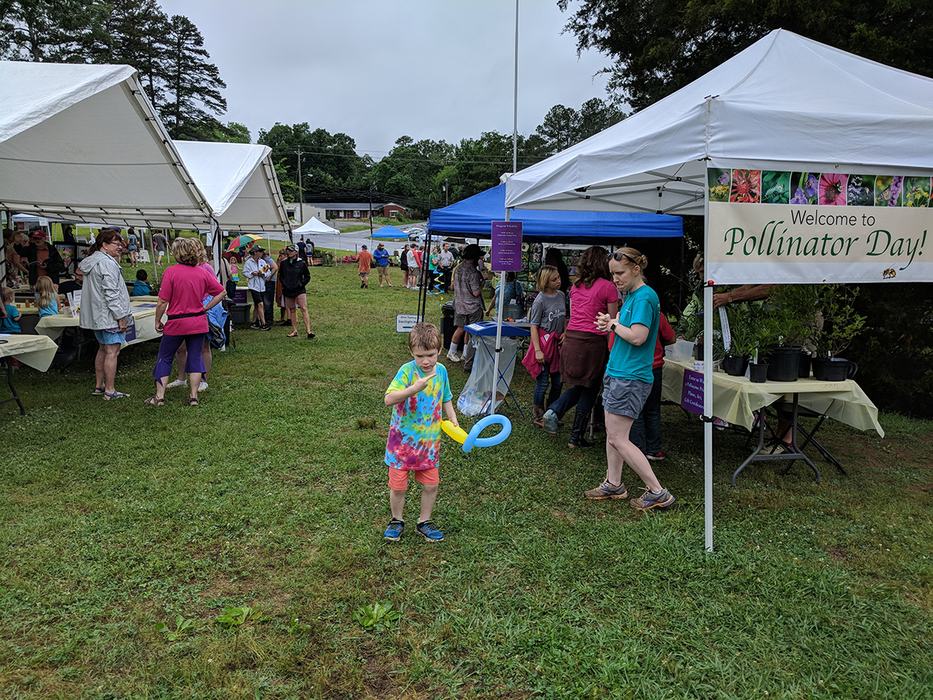 We had several tents for various activities. 