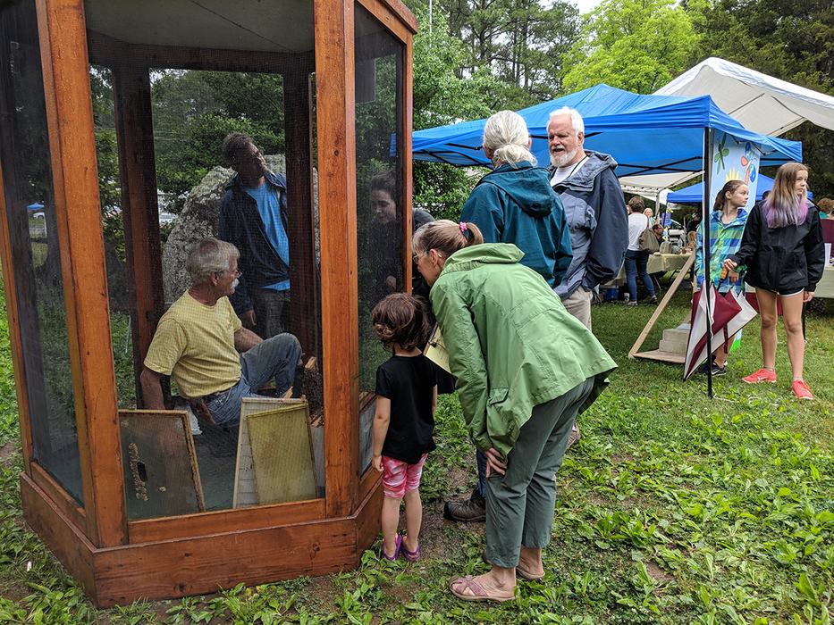 Apiary Inspector Supervisor Don Hopkins does a beekeeping demo in the bee cage. 