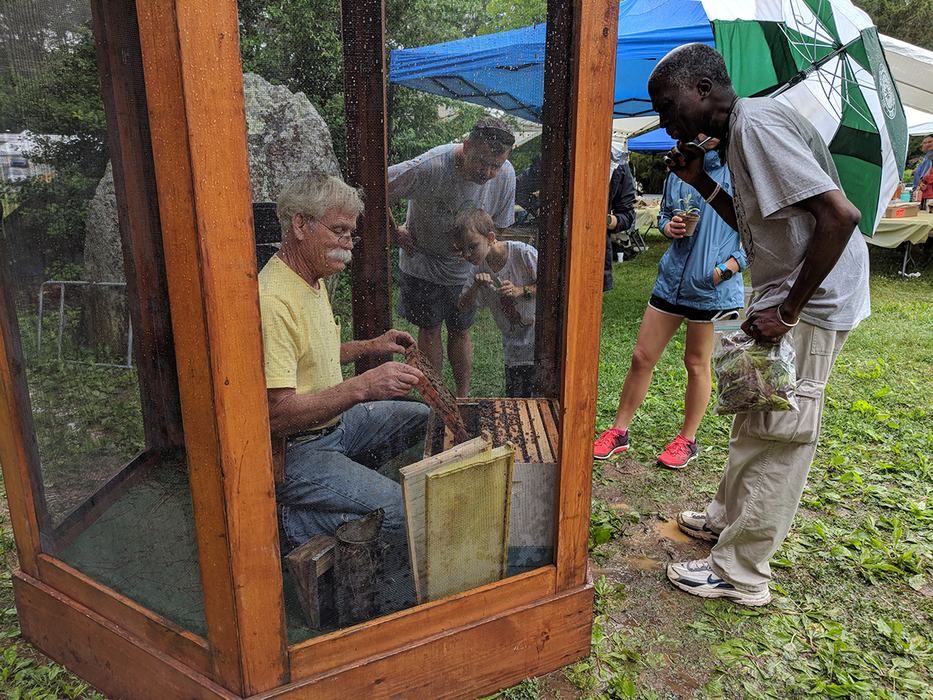 Beekeeping Inspector Don Hopkins does a beekeeping demo inside the bee cage. 