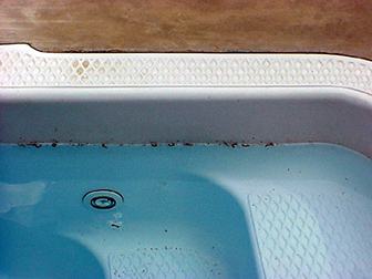millipedes in a swimming pool.