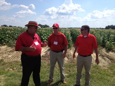 Three men in red shirts standing and talking in a crop field under a blue sky