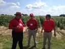 Three men in red shirts standing and talking in a crop field under a blue sky