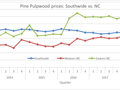 Pine pulpwood prices line chart (quarterly $/ton) for Southwide, Western NC, Eastern NC