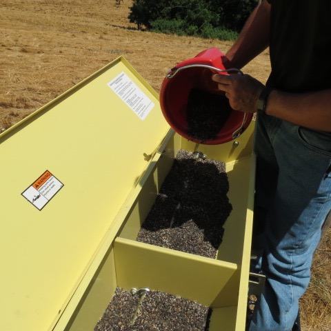Putting seed mix into seed drill