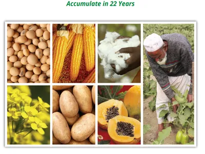 Collage of biotech crops and farmer; title: Global Status of Biotech/GM Crops 2017