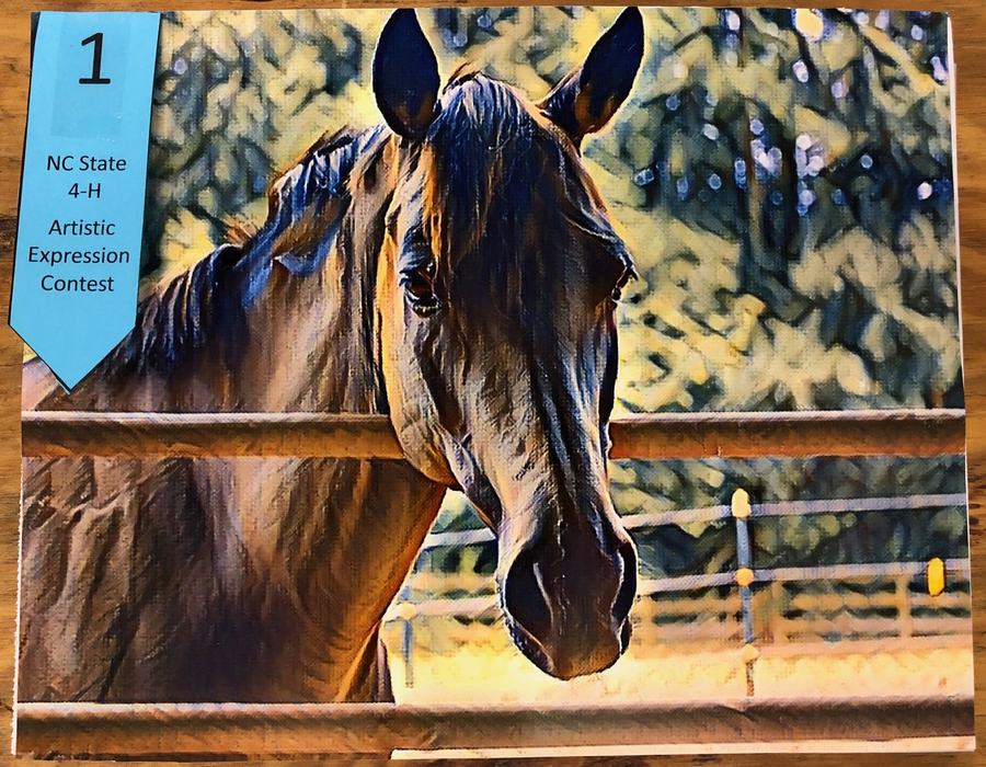 enhanced photo of horse resting head on gate rail