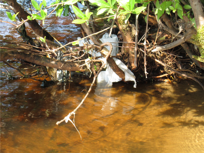 Stream of water with debris and plastic bag clogging water flow