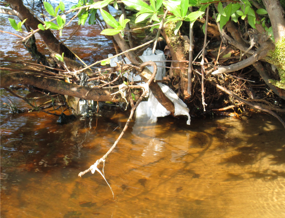 Stream of water with debris and plastic bag clogging water flow