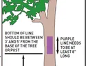 Example of how to post their protery as permission needed with purple paint on trees.