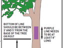 Example of how to post their protery as permission needed with purple paint on trees.