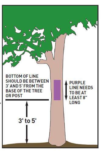 Example of how to post their protery as permission needed with purple paint on trees.