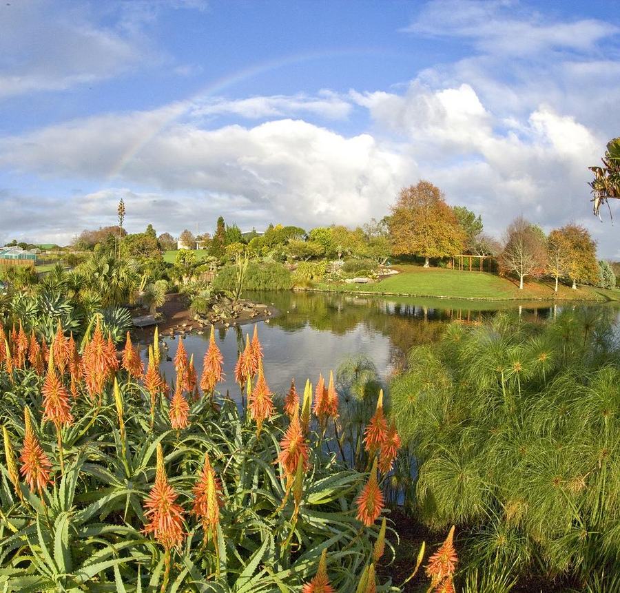 New Zealand, Auckland BG