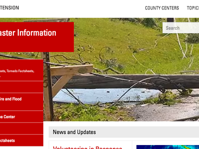Image of NC Disaster Information Center page