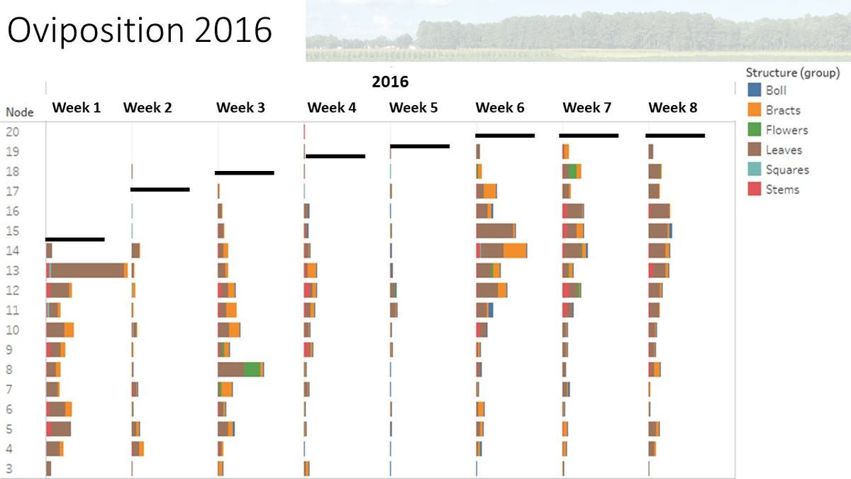 Oviposition 2016 graph