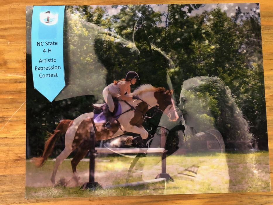 dimensional photograph of young woman with horse