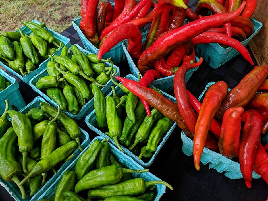 So many peppers at the farmers' markets!
