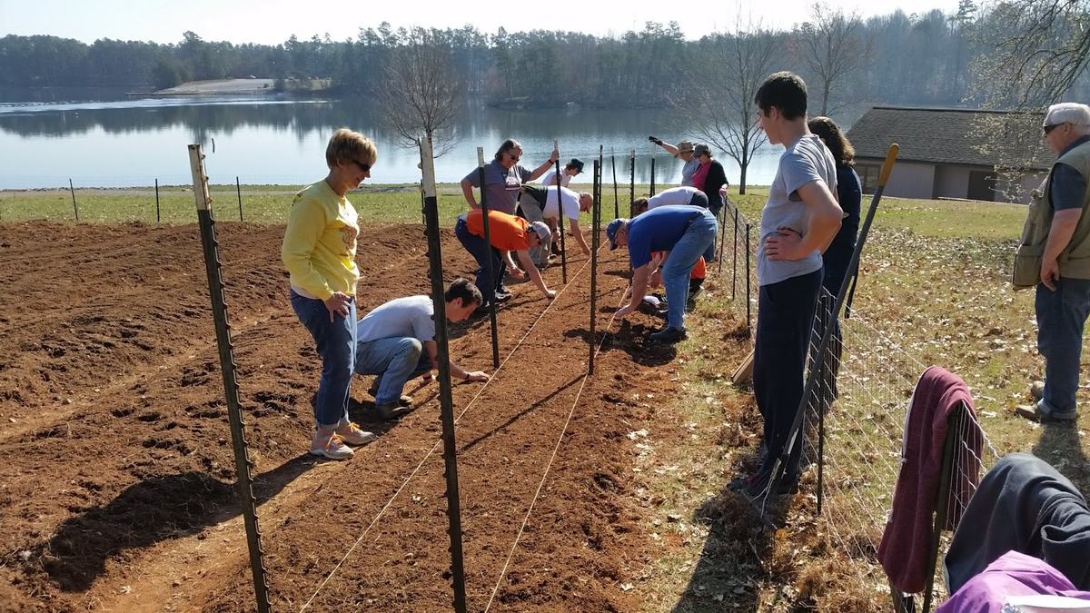 people working in a field