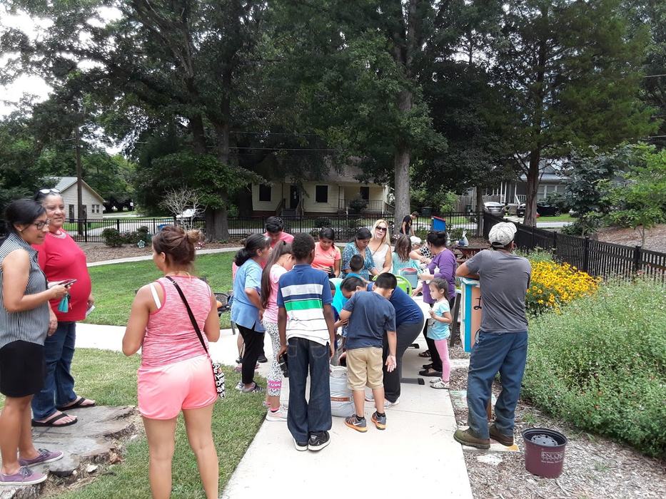 volunteers learning about plants
