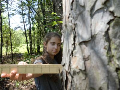 Photo taken by Lily Knepp