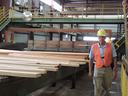 Worker in hard hat and orange vest walking beside stacked lumber on sawmill conveyor