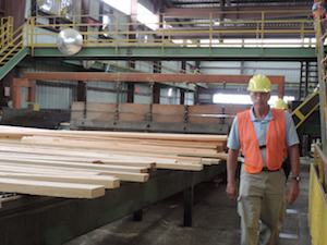 Worker in hard hat and orange vest walking beside stacked lumber on sawmill conveyor