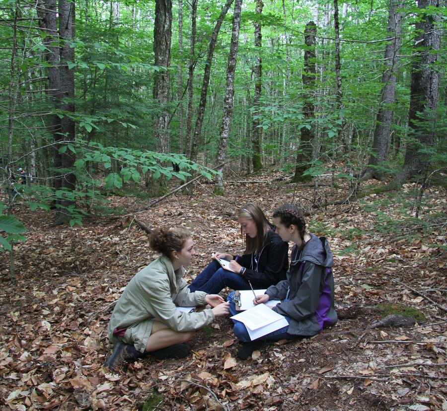 Writing the Wildlife Management Plan