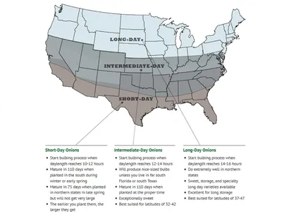 US map titled "Onion Plants" showing Long-day (north), Intermediate-day (central), Short-day (south) zones.