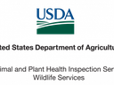 USDA APHIS logo