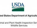 USDA APHIS logo