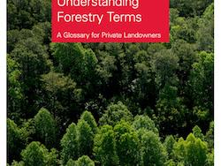 Forest canopy with title "Understanding Forestry Terms" and NC State Extension logo