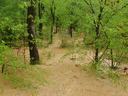 A creek flooding a forest in North Carolina