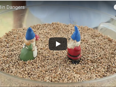 Grain Bin Dangers video screen