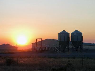 Sunset behind a N.C. hog farm