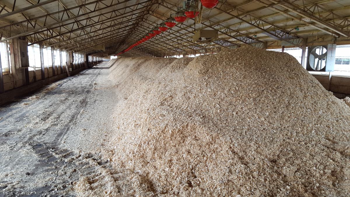 turkey compost windrow