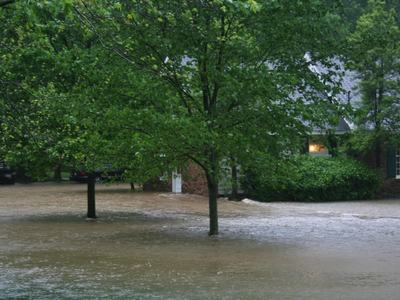 Flooded landscape
