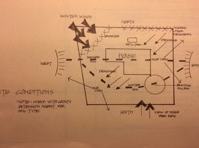Picture of yard and layout of plants 