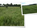 Image of pastures