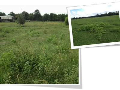 Image of pastures