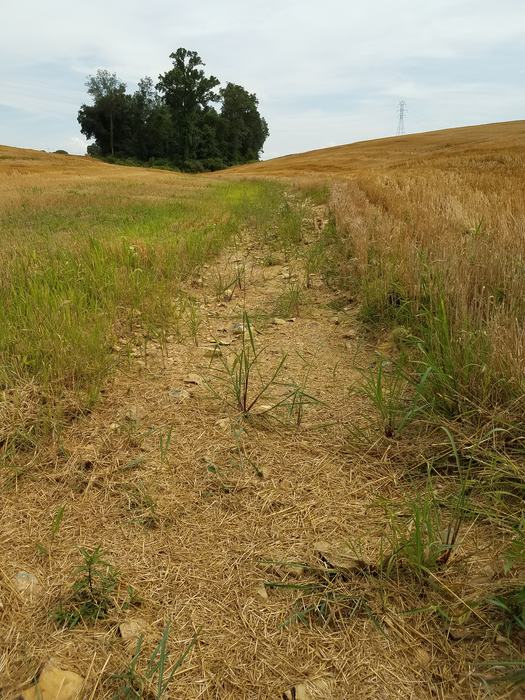 Drainage ditch showing erosion